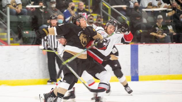 Adirondack Thunder battle the Newfoundland Growlers