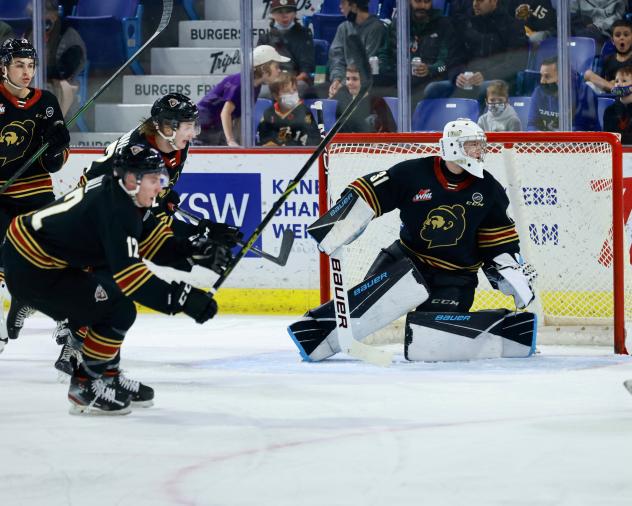 Vancouver Giants goaltender Will Gurski watches the puck