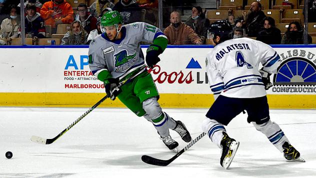 Florida Everblades forward Dylan Vander Esch eyes the puck