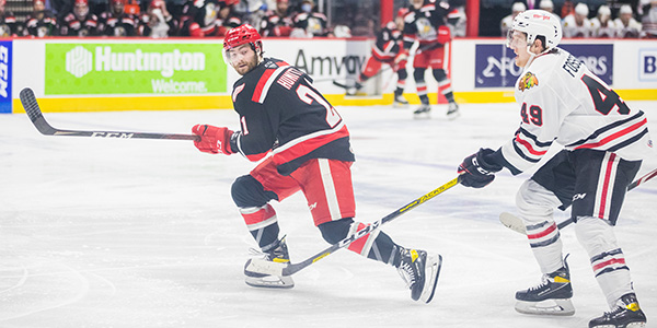 Grand Rapids Griffins left wing Max Humitz