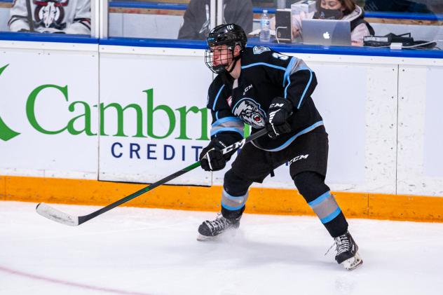 Winnipeg ICE defenseman Omen Harmacy