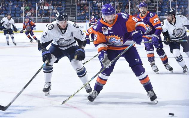 Jacksonville IceMen take on the Orlando Solar Bears