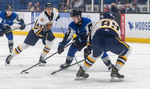 Saint John Sea Dogs centre Josh Lawrence handles the puck vs. the Shawinigan Cataractes