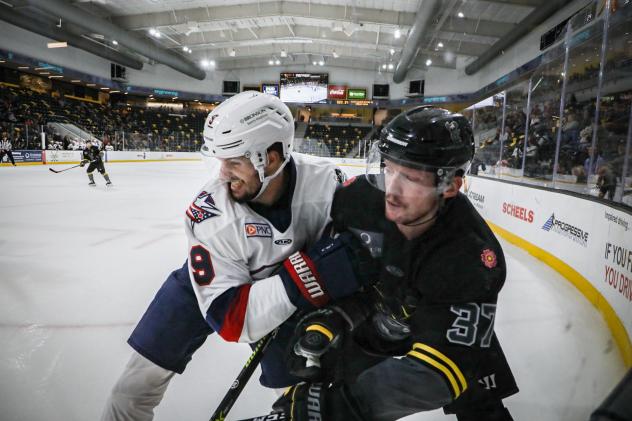 Kalamazoo Wings vs. the Iowa Heartlanders