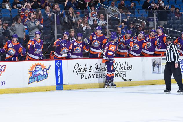 Orlando Solar Bears give high fives along the bench