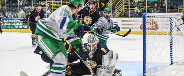 Florida Everblades battle the Norfolk Admirals