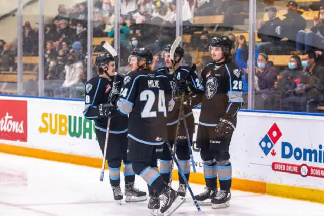 Winnipeg ICE celebrate a goal