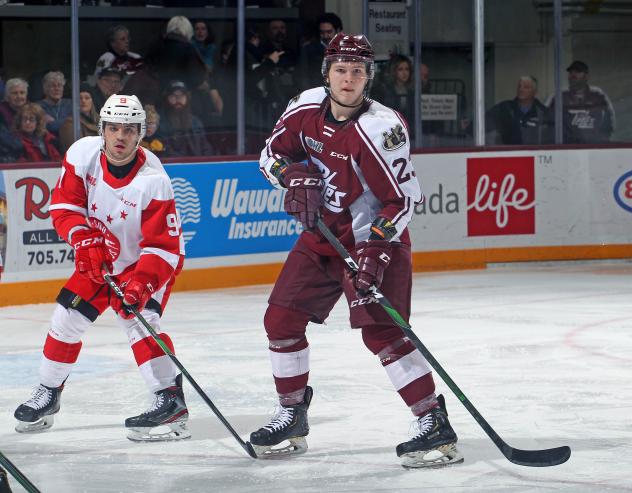 Peterborough Petes centre Mason McTavish