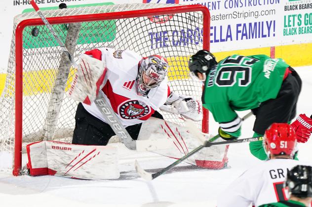 Binghamton Black Bears forward Geno DeAngelo takes a shot against the Port Huron Prowlers