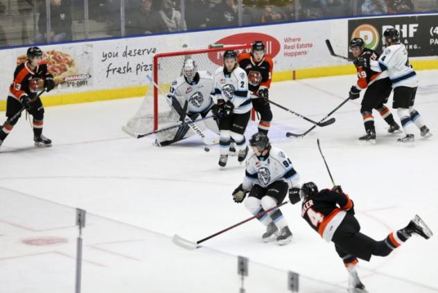 Medicine Hat Tigers take a shot against the Winnipeg ICE
