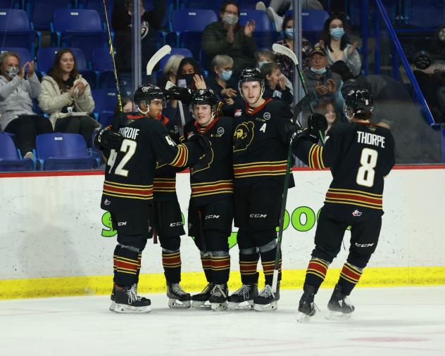 Vancouver Giants celebrate a goal against the Victoria Royals