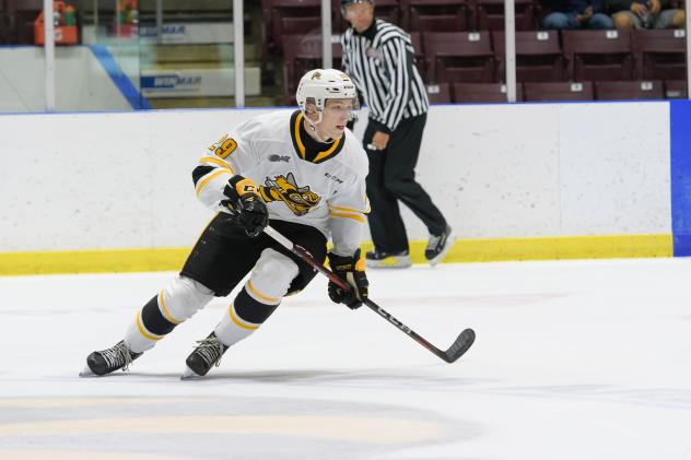 Forward Alex Geci with the Sarnia Sting