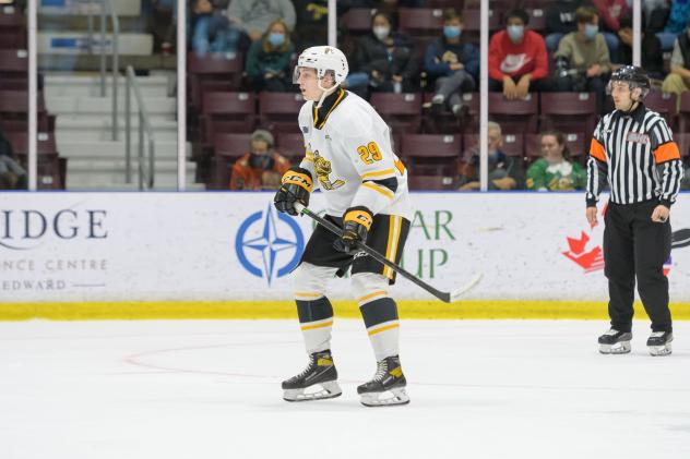 Forward Alex Geci with the Sarnia Sting