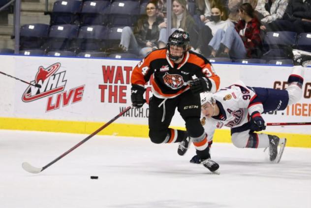 Medicine Hat Tigers left wing Andrew Basha