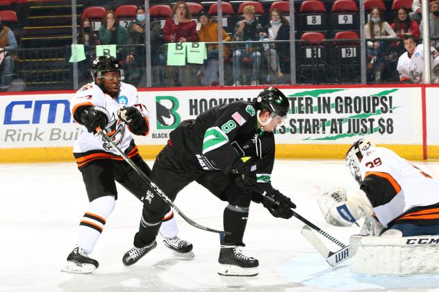 Binghamton Black Bears forward Nikita Ivashkin vs. the Danbury Hat Tricks