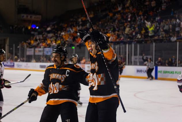 Knoxville Ice Bears react after a goal against the Birmingham Bulls