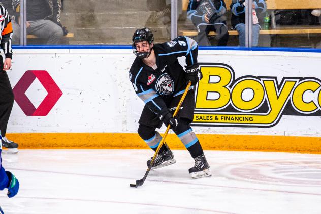 Winnipeg ICE defenseman Omen Harmacy