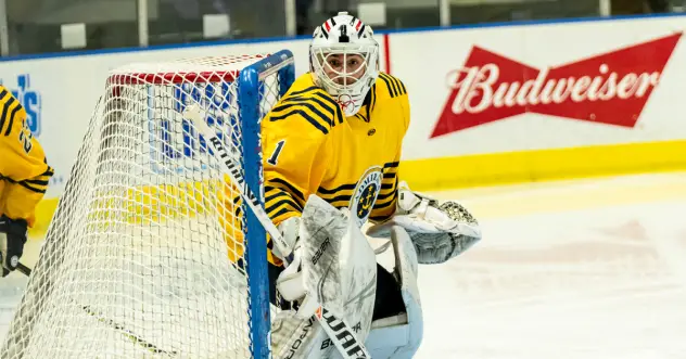 Goaltender Jake Theut with the Norfolk Admirals