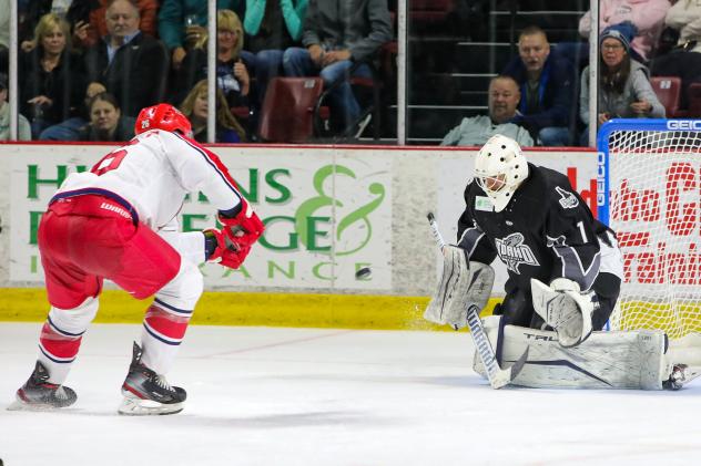 Allen Americans forward Spencer Asuchak takes a shot against the Idaho Steelheads