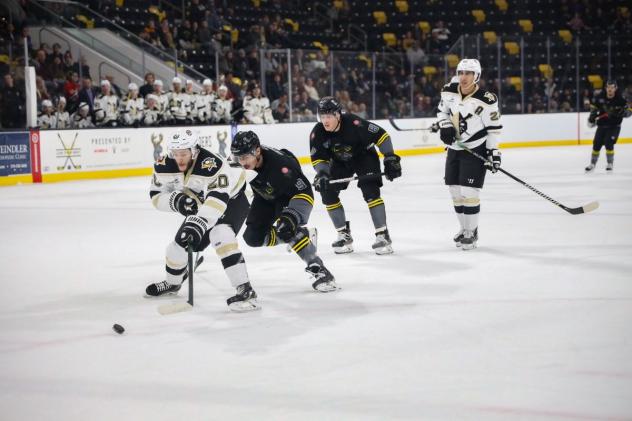 Wheeling Nailers forward Justin Almeida (left) races to the puck vs. the Iowa Heartlanders