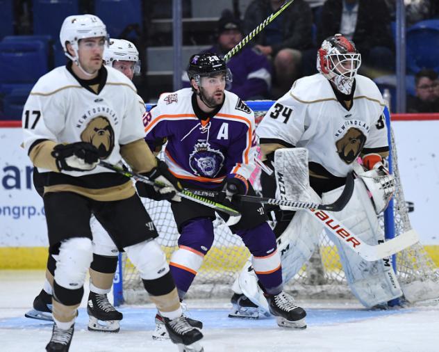 Reading Royals forward Thomas Ebbing (center) vs. the Newfoundland Growlers