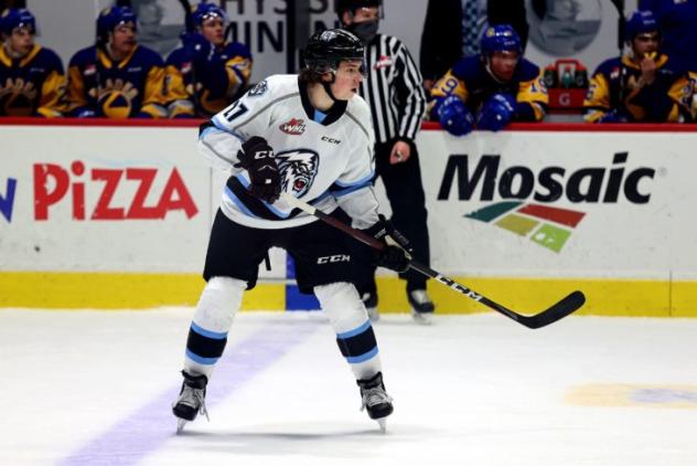 Winnipeg ICE defenseman Brandt Young