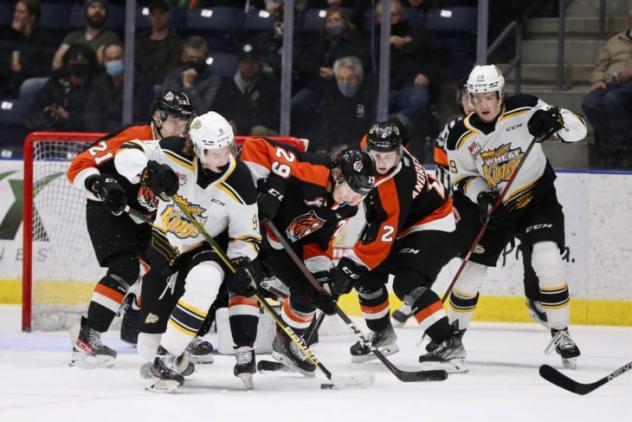 Brandon Wheat Kings battle the Medicine Hat Tigers