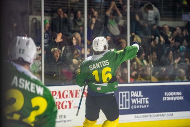 Maine Mariners forward Mathew Santos