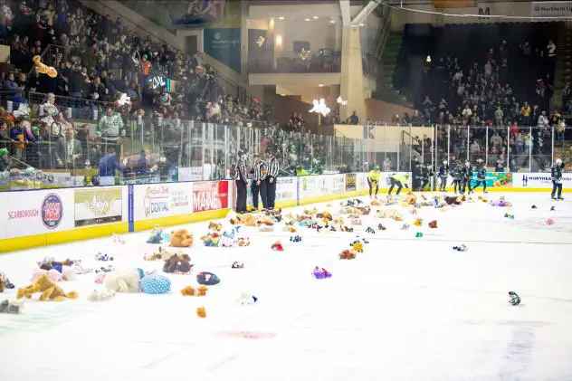 Maine Mariners Teddy Bear Toss