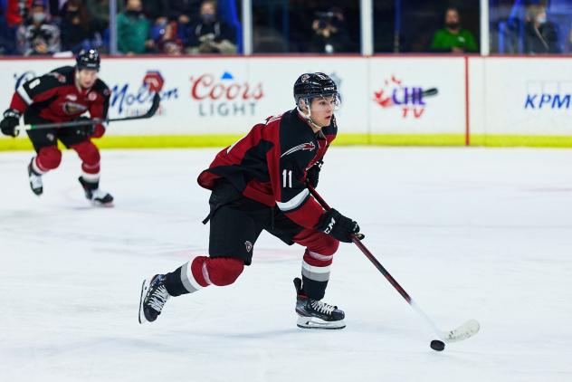 Vancouver Giants forward Fabian Lysell
