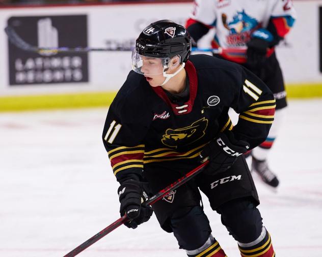 Vancouver Giants forward Fabian Lysell