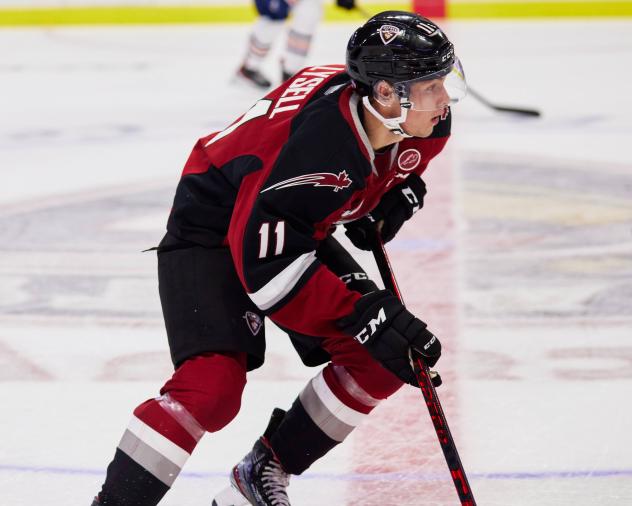 Vancouver Giants forward Fabian Lysell