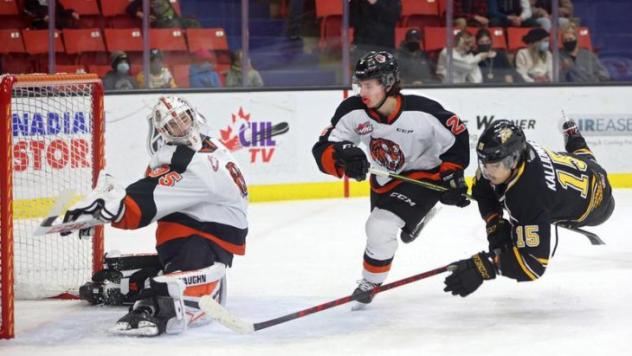 Medicine Hat Tigers goaltender Beckett Langkow vs. the Brandon Wheat Kings