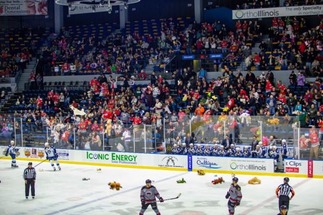 Rockford IceHogs Teddy Bear Toss