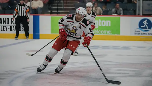 Grand Rapids Griffins defenseman Luke Witkowski