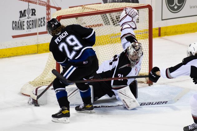 Vancouver Giants goaltender Will Gurski lunges to stop the Victoria Royals