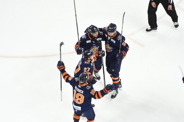 Greenville Swamp Rabbits celebrate a goal
