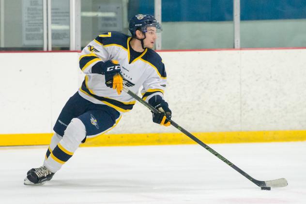 Defenseman Daniel Klinecký