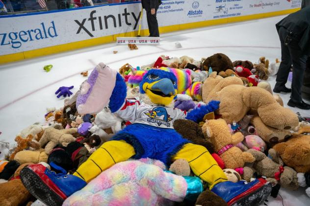 Springfield Thunderbirds Teddy Bear Toss