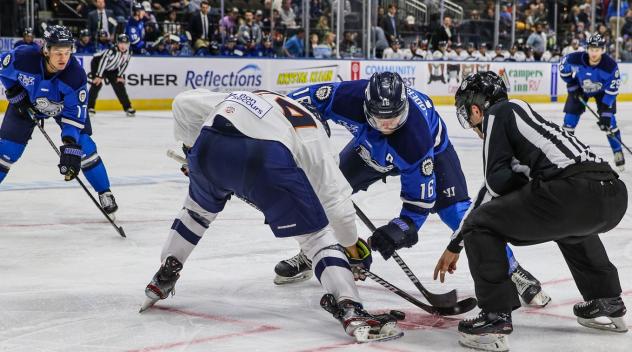 Jacksonville IceMen face off with the Greenville Swamp Rabbits