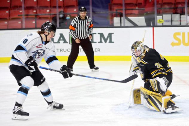 Winnipeg ICE right wing Evan Friesen shoots against the Brandon Wheat Kings