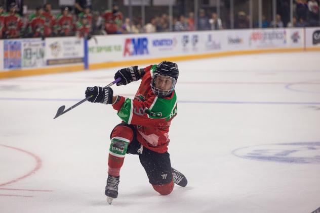 Dino Balsamo of the Knoxville Ice Bears