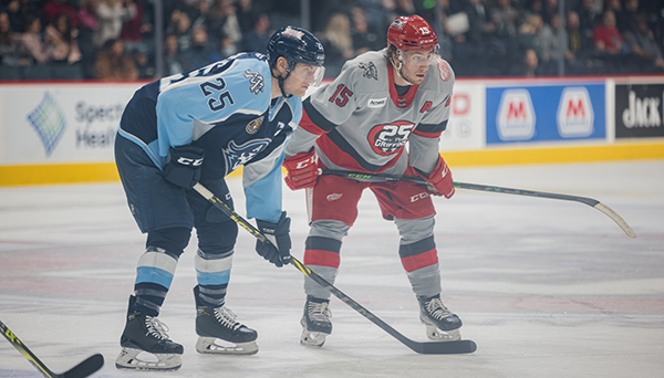Grand Rapids Griffins left wing Turner Elson (right) vs. the Milwaukee Admirals