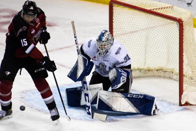 Vancouver Giants right wing Jaden Lipinski in front of the Victoria Royals goal