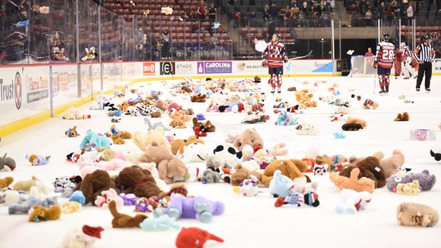 South Carolina Stingrays Teddy Bear Toss