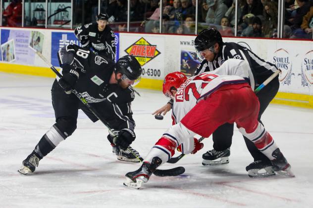 Spencer Asuchak of the Allen Americans (right) faces off with the Idaho Steelheads