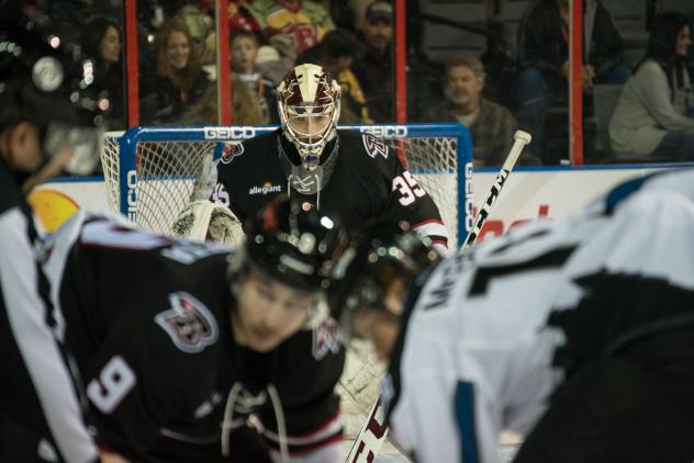 Rapid City Rush goaltender David Tendeck