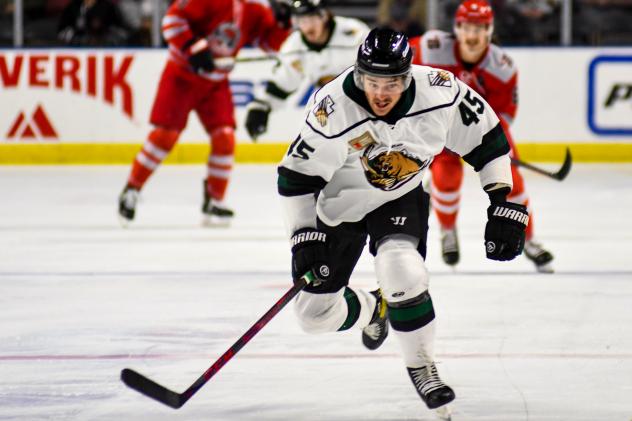 Utah Grizzlies defenseman Charle-Edouard D'Astou