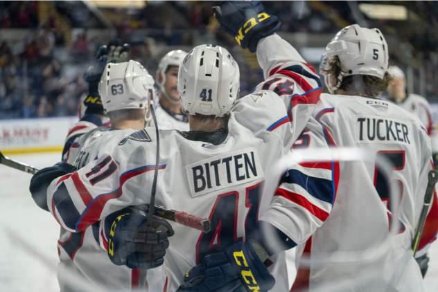 Springfield Thunderbirds celebrate a goal against the Rochester Americans