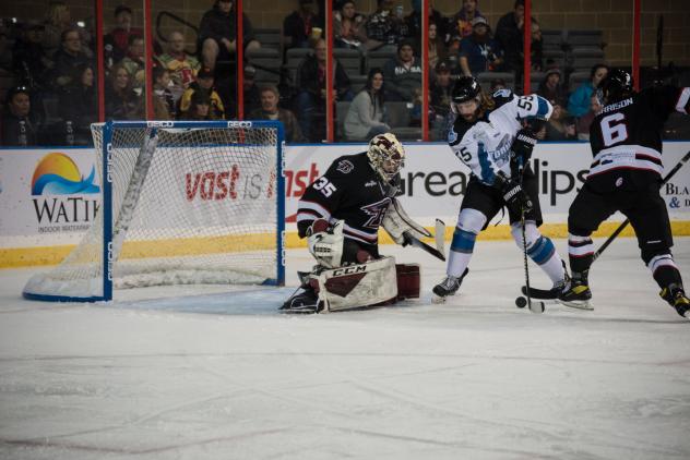 Rapid City Rush goaltender David Tendeck